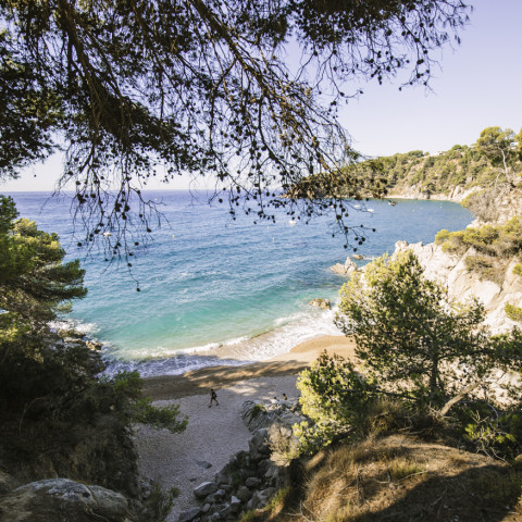 Cala Llevado