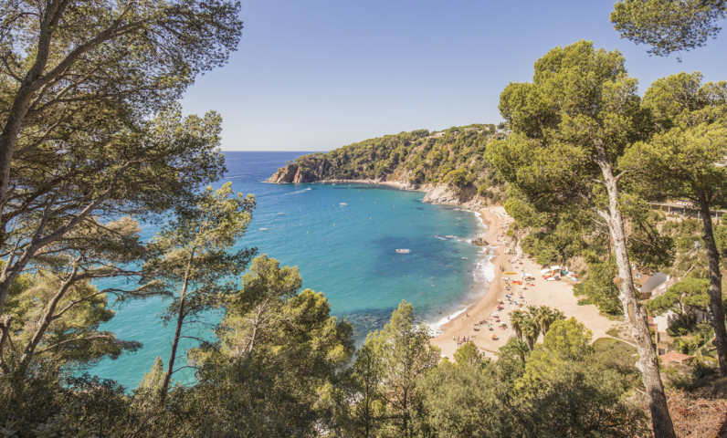 Camping with access to the cove Costa Brava