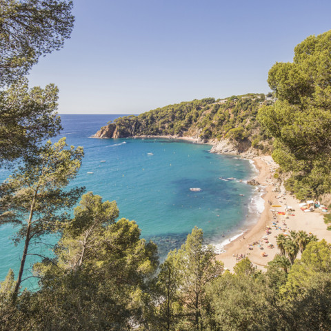 Tossa del Mar Camping - Cala Llevado, Costa Brava