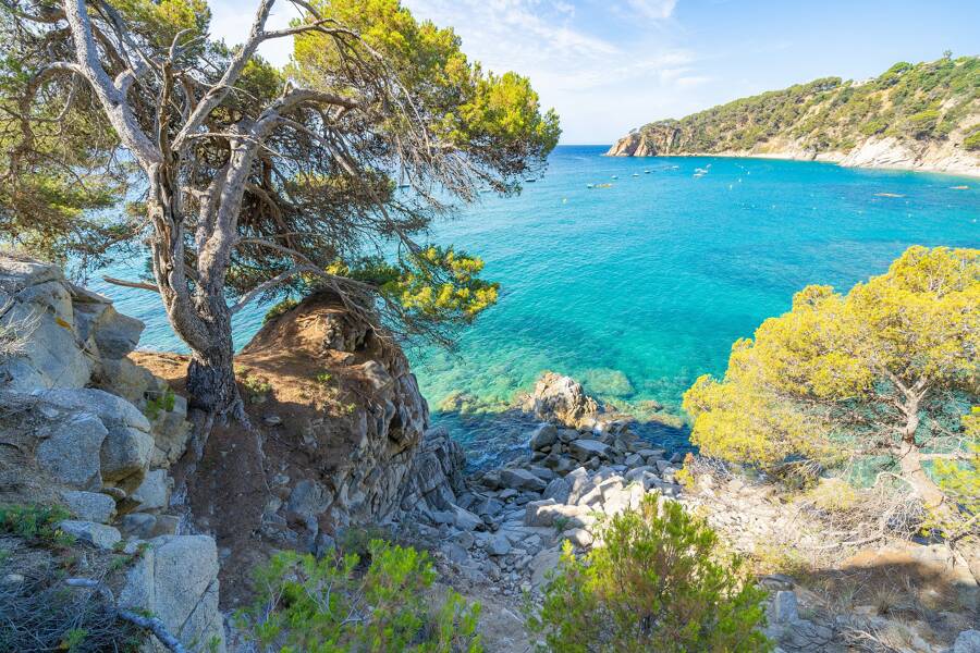 Cala Llevado Costa Brava