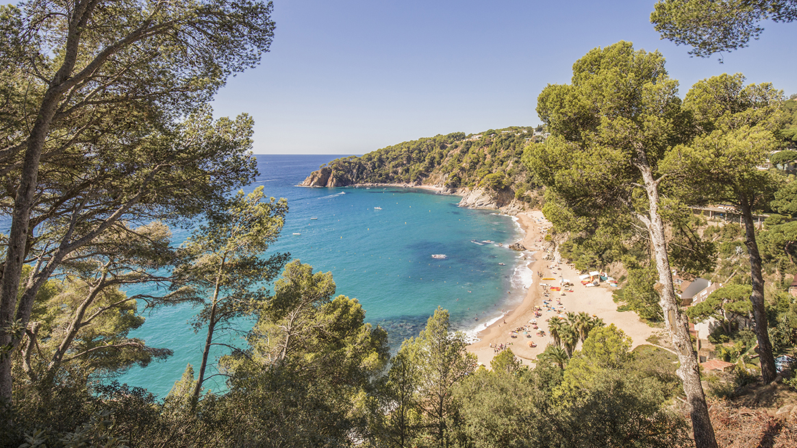 Camping con acceso a la cala Costa Brava