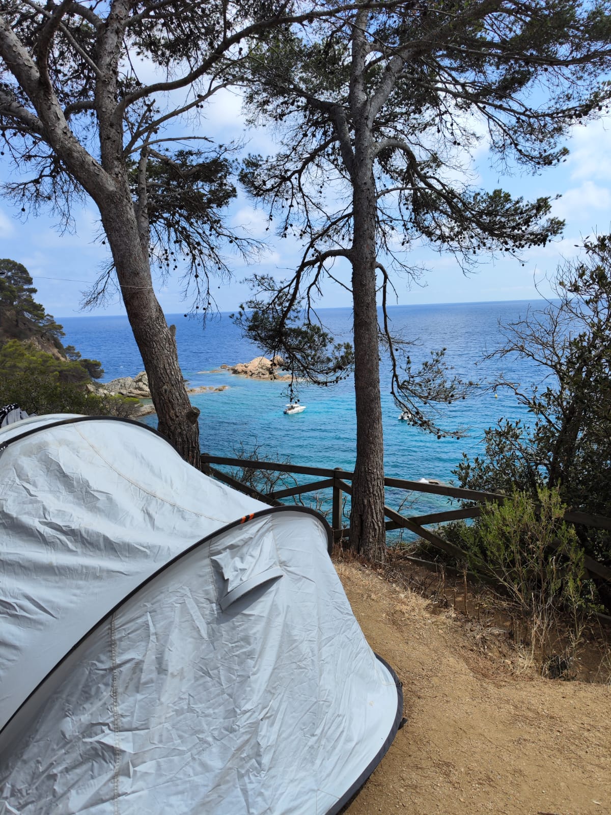 Carpa gris con vista