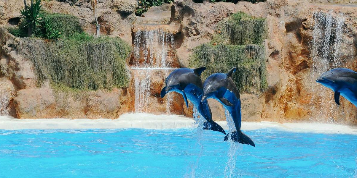 marineland-costa-brava.jpg